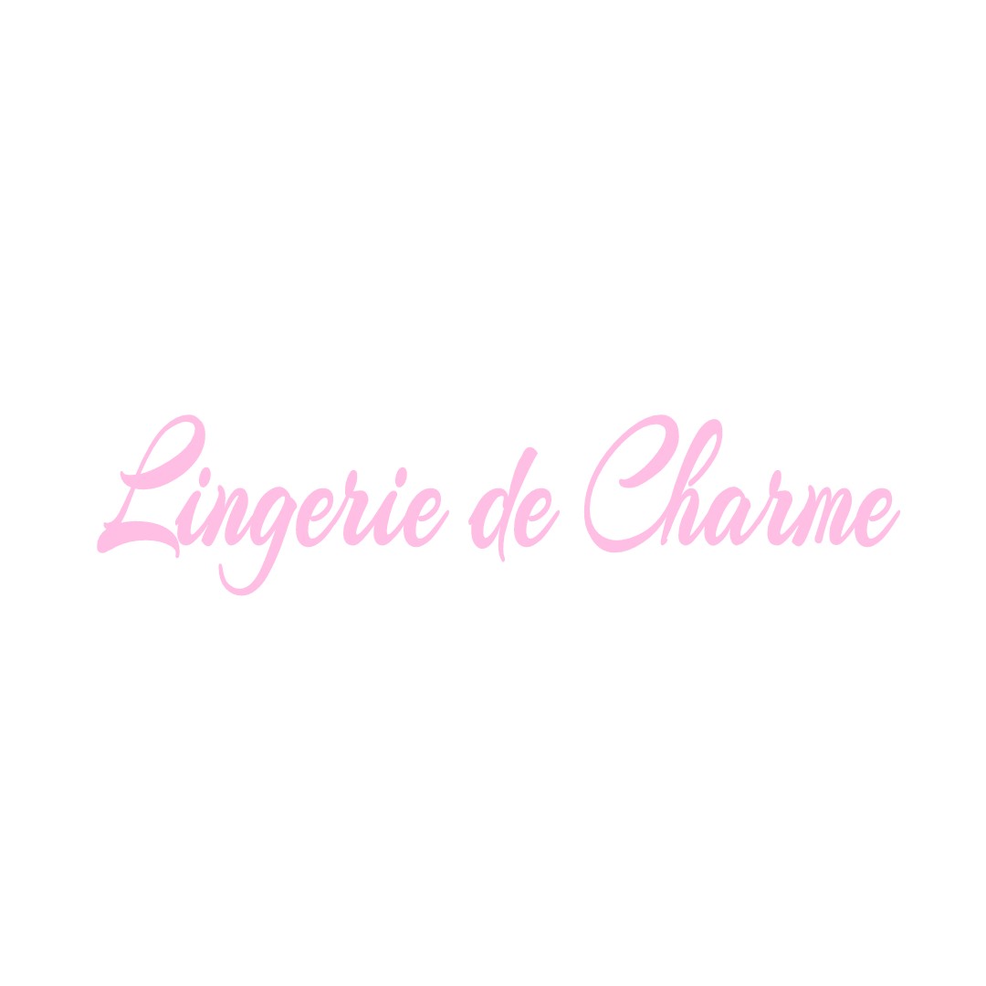 LINGERIE DE CHARME VIEL-ARCY